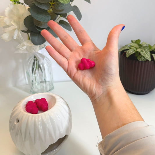 Wax melt - Elige tu aroma favorito (50gr)